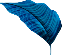 About Us leaf-vector-layer2